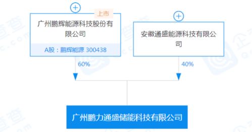 鵬輝能源參股設立儲能公司，加碼信息系統(tǒng)集成服務布局