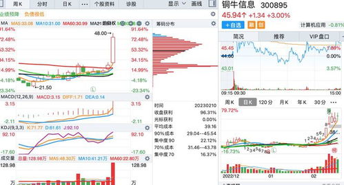 底部周線放出巨量的個股名單 聚焦信息系統(tǒng)集成服務板塊